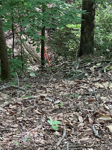 1225 Oglethorpe Road, Jasper, GA 30143