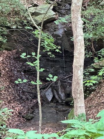 1225 Oglethorpe Road, Jasper, GA 30143