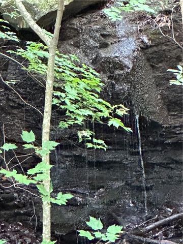 1225 Oglethorpe Road, Jasper, GA 30143