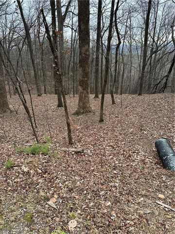 1225 Oglethorpe Road, Jasper, GA 30143