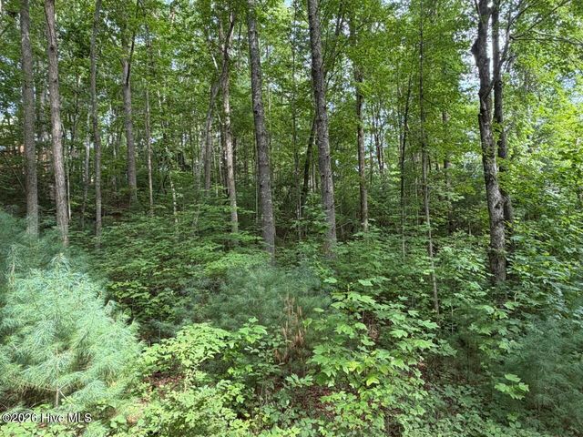 Lot 9 Confederate Circle, Murphy, NC 28906