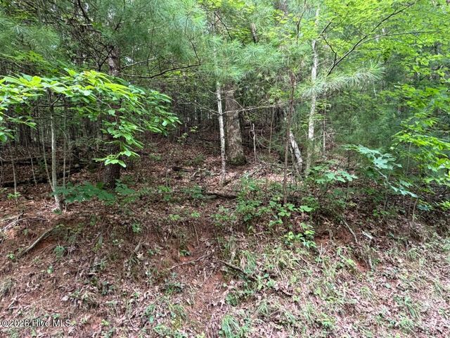 Lot 9 Confederate Circle, Murphy, NC 28906
