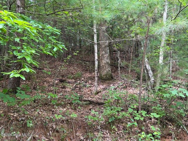 Lot 9 Confederate Circle, Murphy, NC 28906
