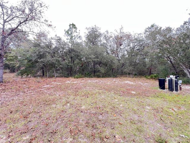 83 GUAVA PASS, Ocklawaha, FL 32179