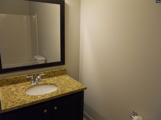 238 Bronze Bluff Court, Lexington, SC 29073