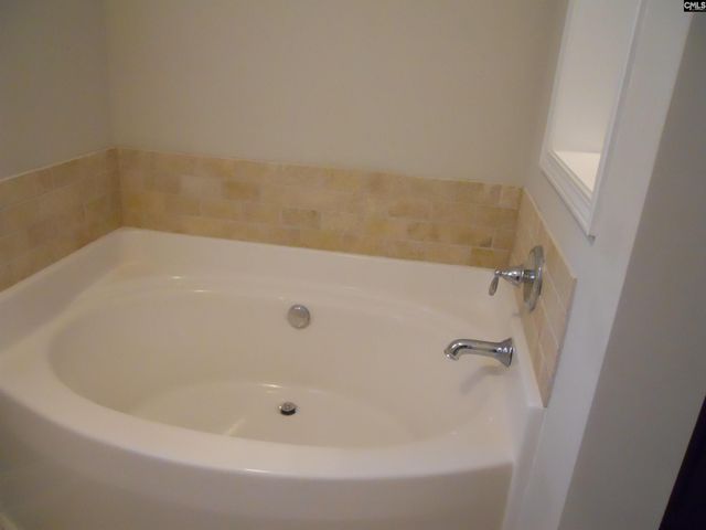 238 Bronze Bluff Court, Lexington, SC 29073