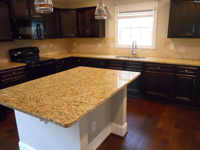 238 Bronze Bluff Court, Lexington, SC 29073