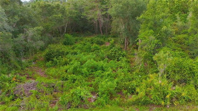 COUNTY ROAD 42, Paisley, FL 32767
