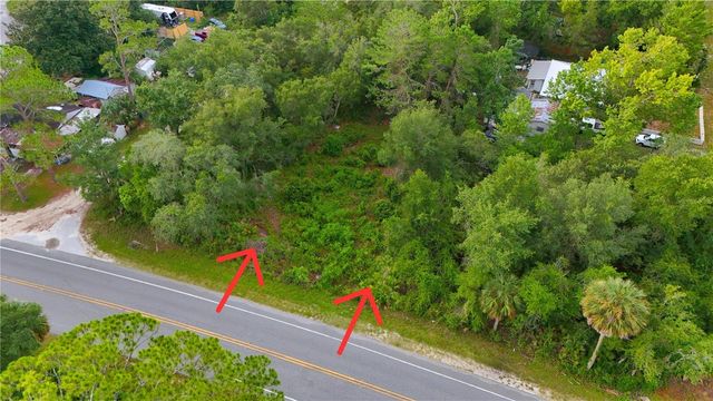 COUNTY ROAD 42, Paisley, FL 32767