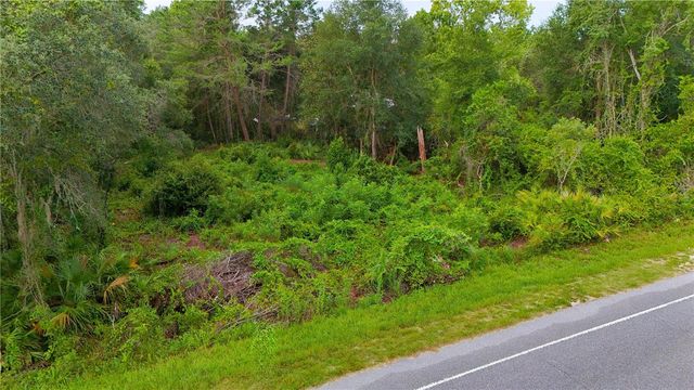 COUNTY ROAD 42, Paisley, FL 32767