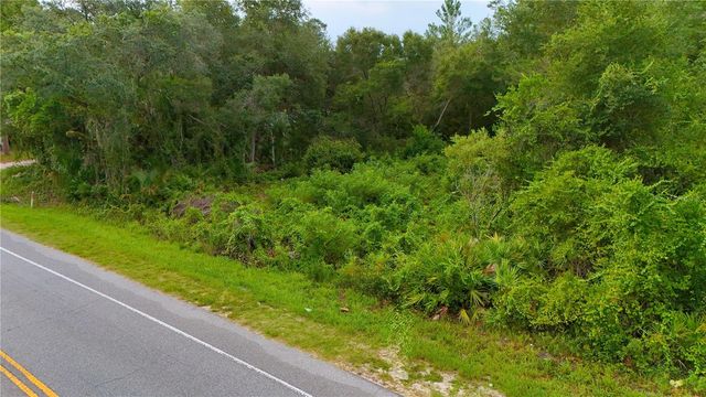 COUNTY ROAD 42, Paisley, FL 32767