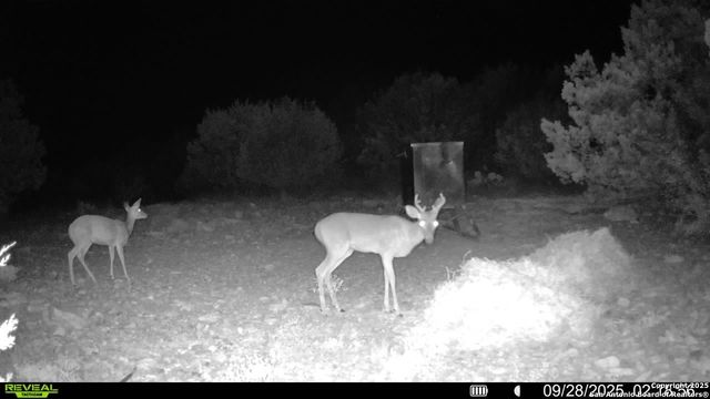 TBD SD 45453, Rocksprings, TX 78880