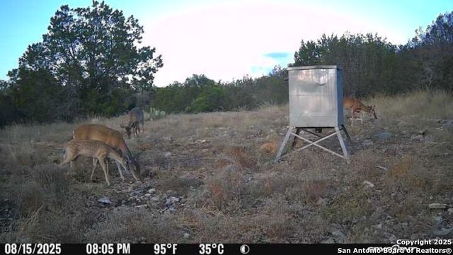 TBD SD 45453, Rocksprings, TX 78880