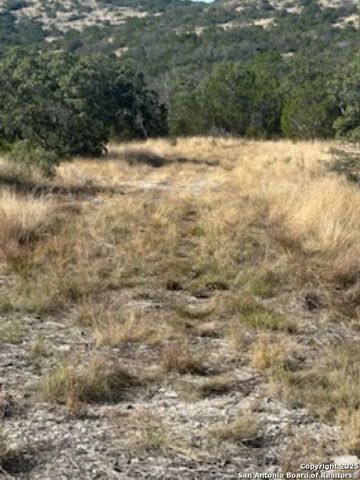 TBD SD 45453, Rocksprings, TX 78880