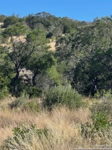 TBD SD 45453, Rocksprings, TX 78880