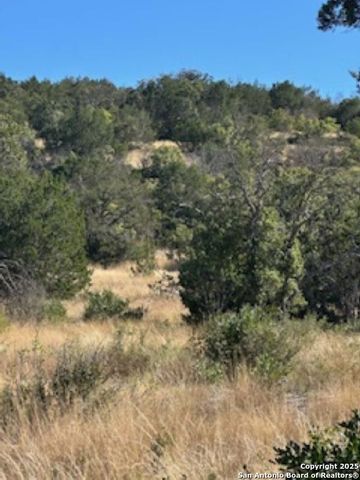 TBD SD 45453, Rocksprings, TX 78880