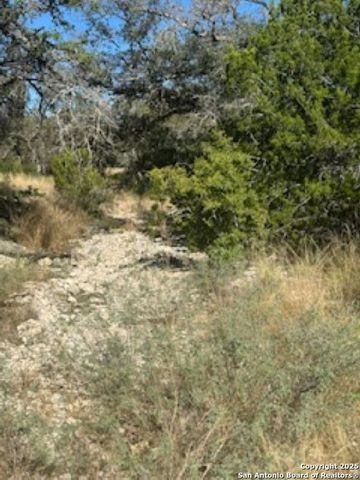 TBD SD 45453, Rocksprings, TX 78880