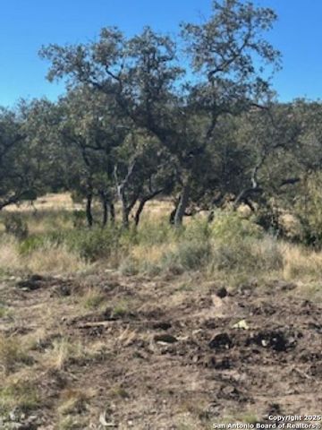 TBD SD 45453, Rocksprings, TX 78880