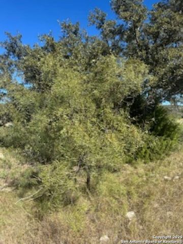 TBD SD 45453, Rocksprings, TX 78880