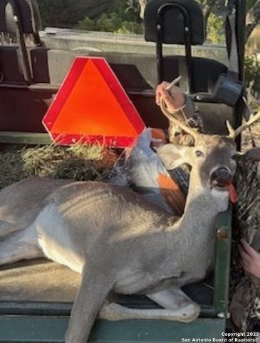 TBD SD 45453, Rocksprings, TX 78880