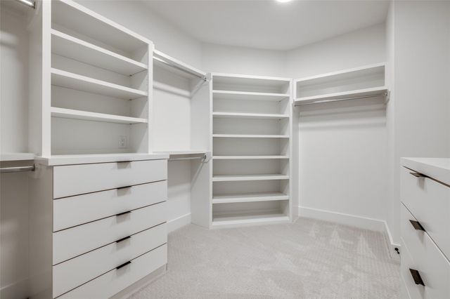 3909 Driscoll Street, Houston, TX 77098