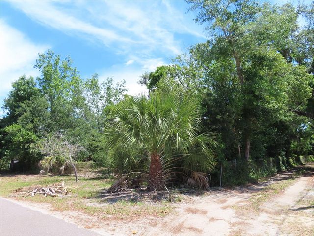 MAYO, Crystal Beach, FL 34681