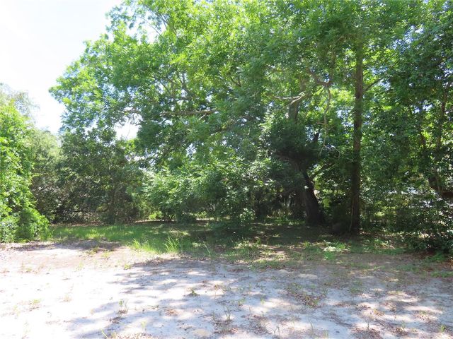 MAYO, Crystal Beach, FL 34681