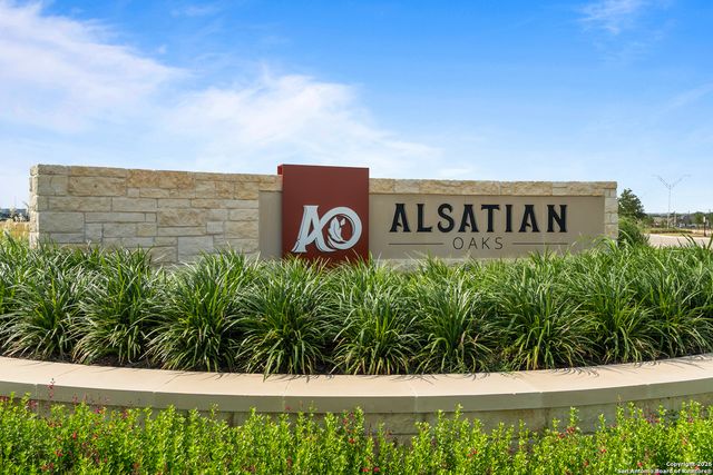 264 Mountain Oak, Castroville, TX 78009