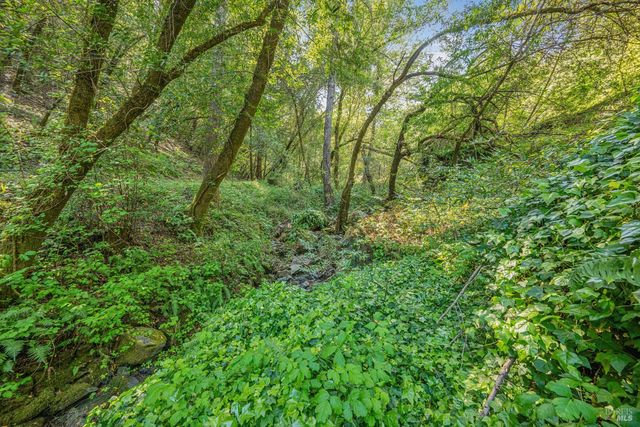 1311 W Dry Creek Rd, Healdsburg, CA 95448