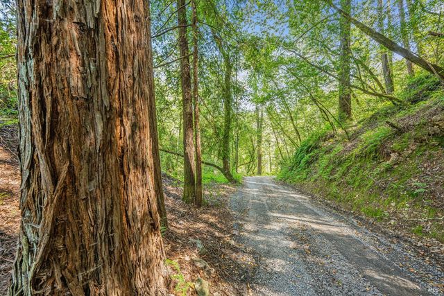 1311 W Dry Creek Rd, Healdsburg, CA 95448