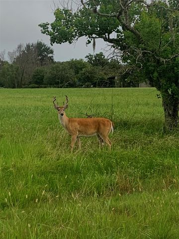 1149 Frontier Trail, Angleton, TX 77515