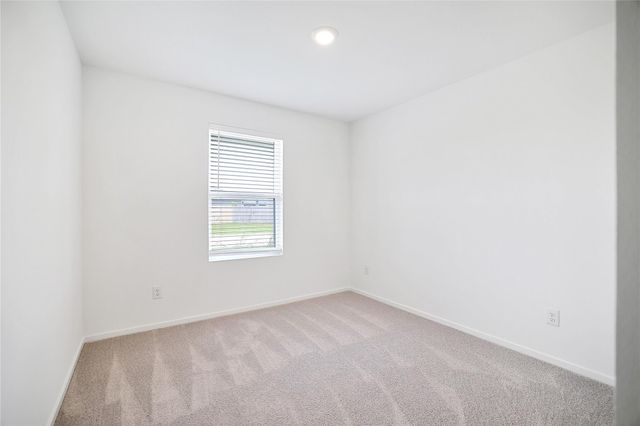 245 Douglas Hills Drive, Magnolia, TX 77354