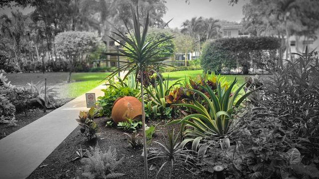 5161 W Oakland Park Boulevard 206, Lauderdale Lakes, FL 33313