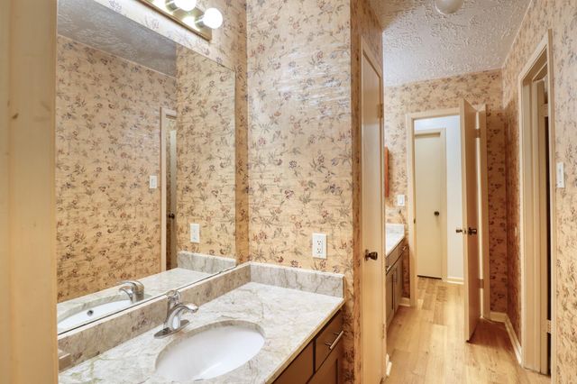 3446 Cheaney Drive, Houston, TX 77066