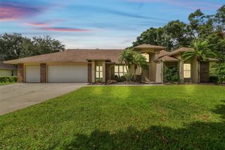 16916 FILLY LANE, Odessa, FL 33556