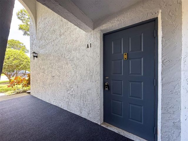 1135 PINE RIDGE CIRCLE W A1, Tarpon Springs, FL 34688
