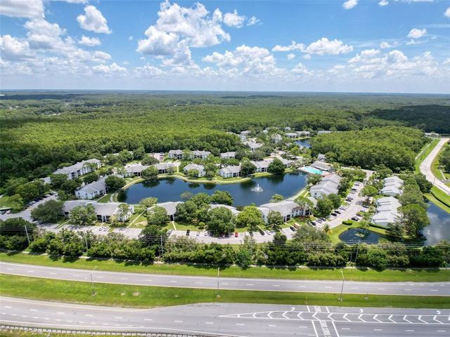 1135 PINE RIDGE CIRCLE W A1, Tarpon Springs, FL 34688