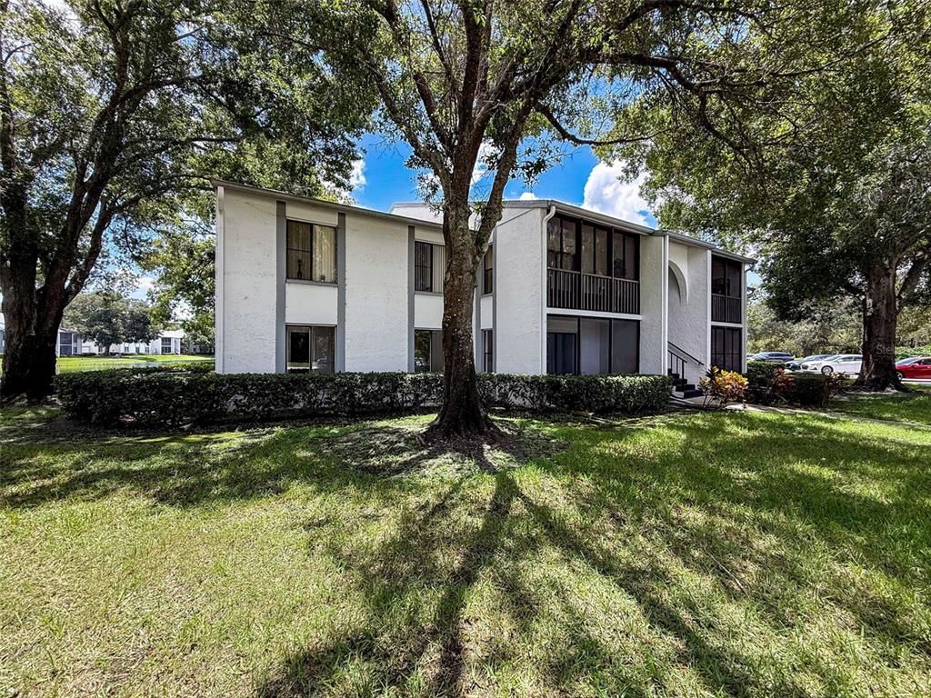 1135 PINE RIDGE CIRCLE W A1, Tarpon Springs, FL 34688