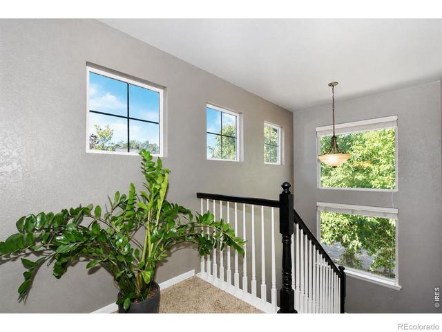 1414 Canal Drive, Windsor, CO 80550
