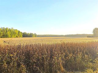 Wildt Highway, Bellevue, MI 49021