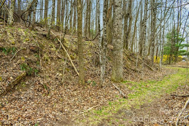 252 Pinewood Circle, Hendersonville, NC 28739