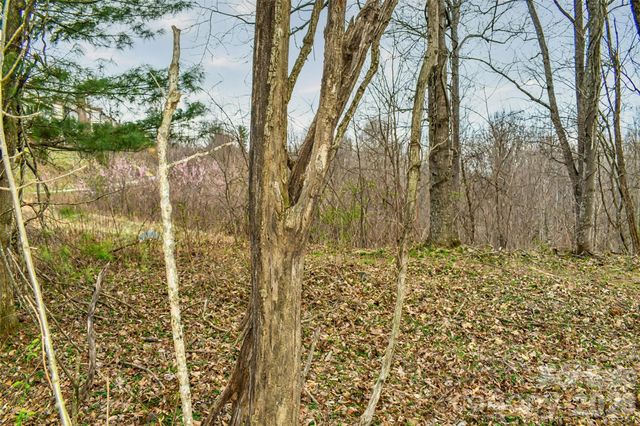 252 Pinewood Circle, Hendersonville, NC 28739