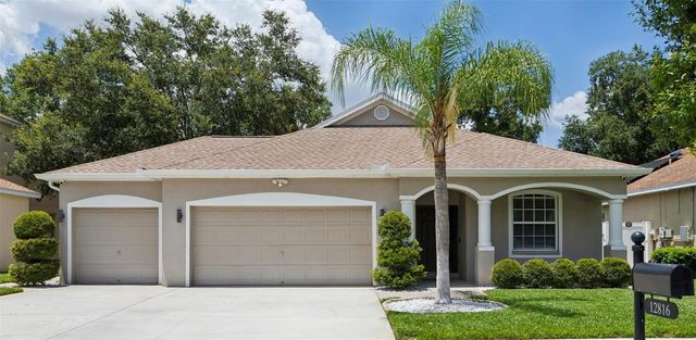 12816 CATTAIL SHORE LANE, Riverview, FL 33579