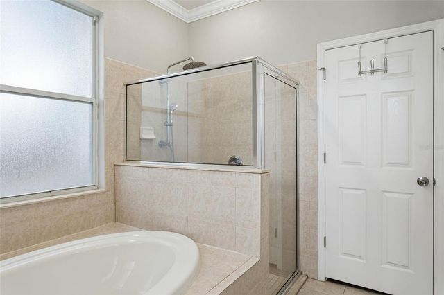 12816 CATTAIL SHORE LANE, Riverview, FL 33579
