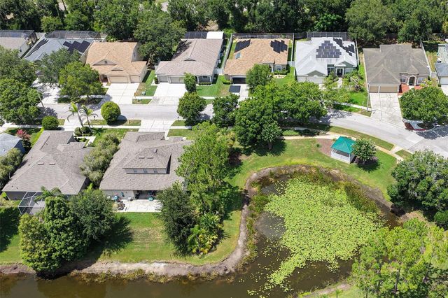 12816 CATTAIL SHORE LANE, Riverview, FL 33579
