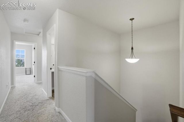 6544 Emerald Isle Heights, Colorado Springs, CO 80923