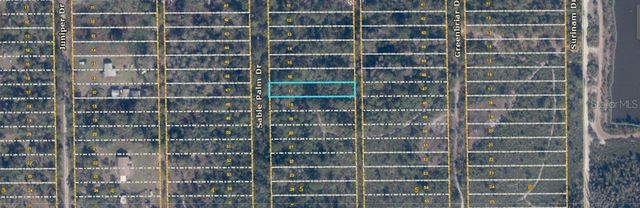 1039 SABLE PALM DRIVE, Christmas, FL 32709