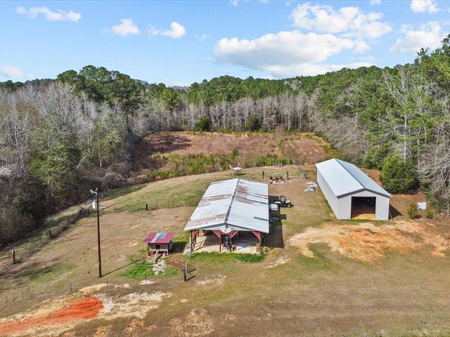 3259 County Road 239, Elba, AL 36323