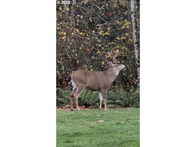 9460 Se JEANNE Rd 7200, Happy Valley, OR 97086