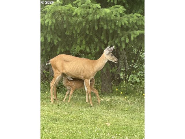 9460 Se JEANNE Rd 7200, Happy Valley, OR 97086